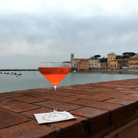 Arianna Cavi di Lavagna